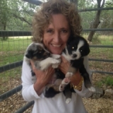 Tracy Sheffield, LVT, CVPM Administrator